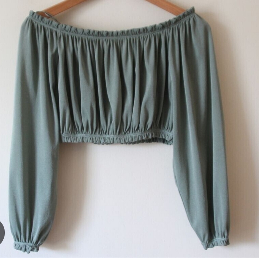Zara Sheer Crop Top